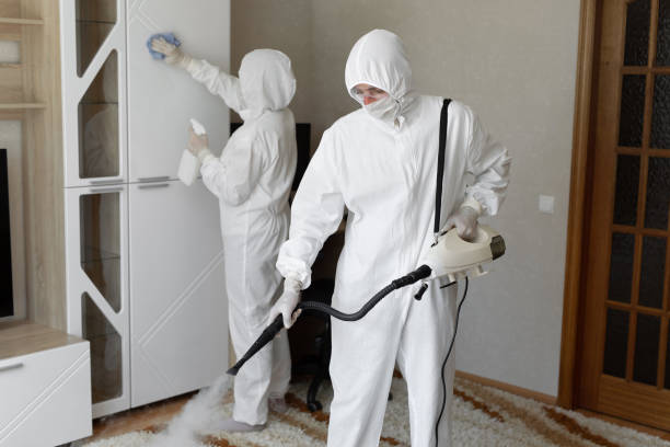 Best Professional Mold Removal  in Burlington, CO